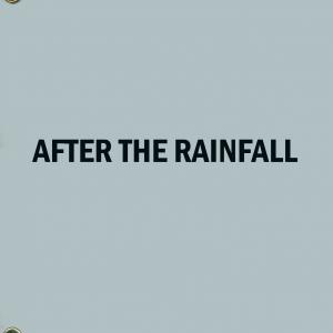 AFTER THE RAINFALL  contemporary thriller about young couples survival in ruthless highly challenging environment