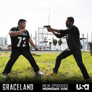 Fighting Daniel Sunjata Paul Briggs on Graceland