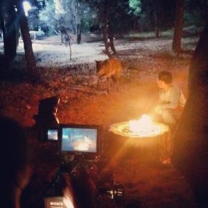 Andrew Tenorio on location with wild wolf, Shadow in 