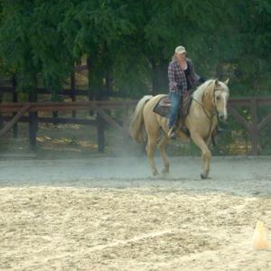 Gayna riding Storm her palomino at El Bronco Ranch in Hungary on Western Riding For Actors week 2013