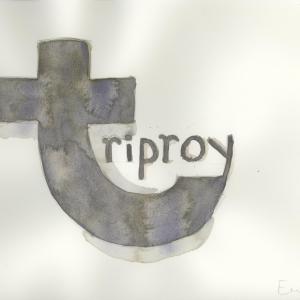 Triproy