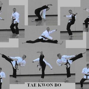 Traditional Taekwondo kicks and stances