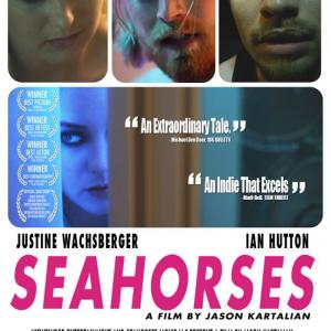 New Seahorses poster