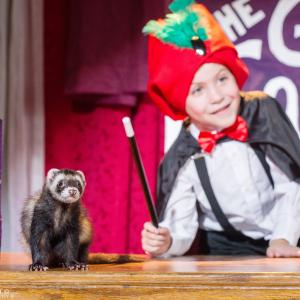 Still of Falcor the Ferret and Jacob Tremblay in The Magic Ferret