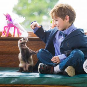 Still of Jacob Tremblay and Falcor the Ferret in The Magic Ferret