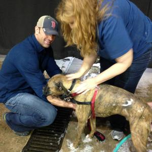 Celebrity Dog wash charity and fundraiser
