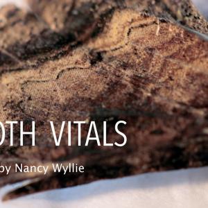 MOTH VITALS a short doc about two extraordinary cases seen by a RI State Veterinarian His reflections on the requests made by two clients who share an extraordinary reverence for life ask all of us to extend our circle of compassion