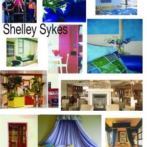 Shelleys Room Designs for TV and private clients