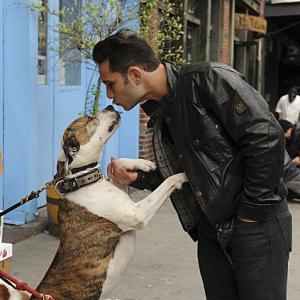 Still of Justin Silver in Dogs in the City 2012