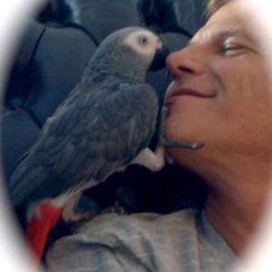 My African Grey Parrot, Gigi and I