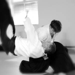 Blue Spruell demonstrating makiotoshi at an Aikido seminar in Cluj-Napoca, Romania.