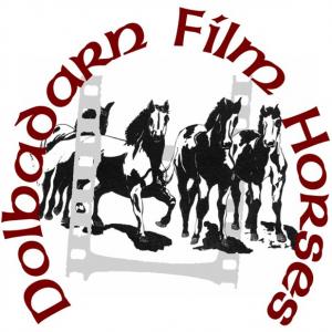 Dolbadarn Film horses company LOGO