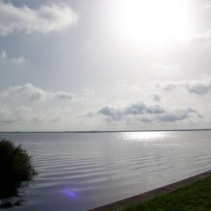 A silvery promising day at Lake Monroe, Sanford, FL.