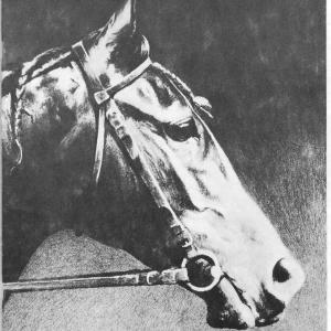 POST & PADDOCK MAGAZINE COVER A Ross paper portrait of the thoroughbred MACCHESNE - a contemporary of great race mare, Beldame)painted 1904 by George Ford Morris(Portraitures of Horses)1952 copyright book)Fordacre Studios Publishing Co. NJ)