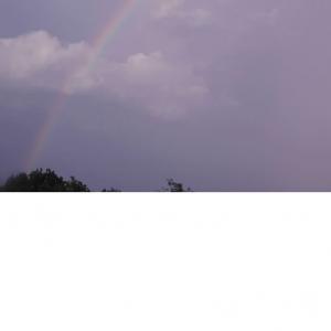 Rainbow over our home in FL.