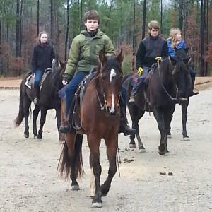 Equestrian Class