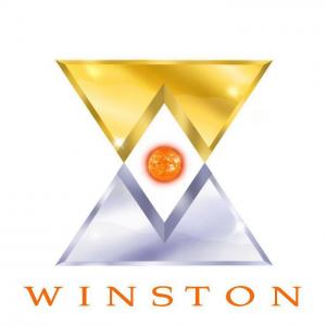 THE WINSTON FAMILY, OFFICIAL LOGO AND BRANDING ©WINSTON ENTERPRISE, LLC 2014