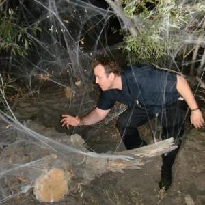 In the spiders den on Animal Planet's 