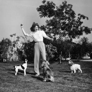 Lucille Ball playing with dogs