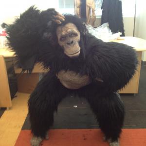 Meredith Richardson being a stunt ape on Scary Movie 5