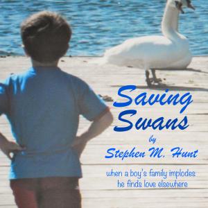 a young boy repeatedly risks his life for a family of swans which which inspires his own disintegrating family