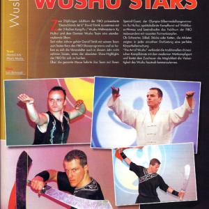 David Torok Wushu Stars