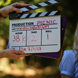 Picnic feature film (Wright, 2015)