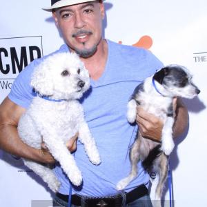 At Toby  Pucci Presents 1st Annual Dog Fashion Night with the cuties!