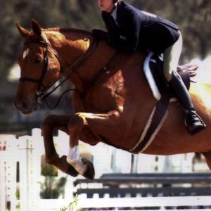 Michelle Elise equestrian sport jumping