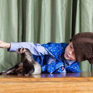 Still of Falcor the Ferret and Jacob Tremblay in The Magic Ferret.