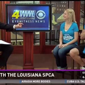 Aaron Williamson on WWL News supporting the Louisiana SPCA