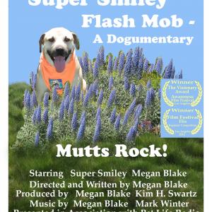 Official Poster for Super Smiley Flash Mob  A Dogumentary Winner The Visionary Award The Awareness Film Festival and Regional Winner Film Festival Flix