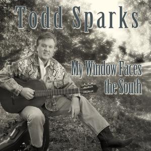 My Window Faces the South album cover