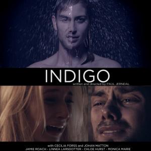 Poster for the Award Winning Short INDIGO written and directed by Paul Jerndal
