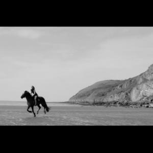 Gemita galloping horse on the beach for film 'Quippini'