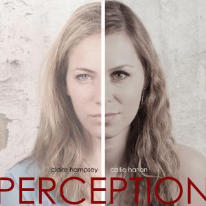 Official cover for Perception
