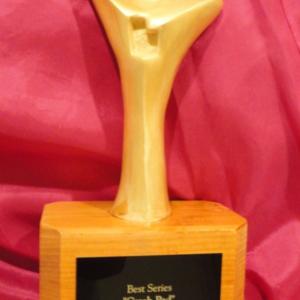 2014 Filmed in Utah Best Series Award
