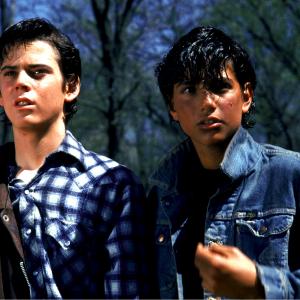 Still of C Thomas Howell and Ralph Macchio in The Outsiders 1983