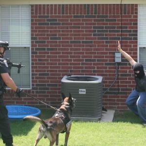 K9SWAT Tactical Officer conducting a training session with K9 Officer Gregor