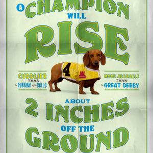 A champion will rise - 2011 To promote the 16th annual Wienerschnitzel-sponsored dachshund race held on July 9th at the Los Alamitos Race Course, DGWB Advertising and Communications (http://www.dgwb.com/) produced a comprehensive event campaign encompassing a dedicated website and a promotional video, as well as creative elements such as themed t-shirts, posters and an onsite custom doggy photo booth.