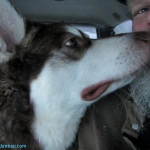 Wanderlust Adventures of the Heart 3 Russell Josh Peterson with Skadi  Freya Exploring Juneau Alaska in the Scooby Doo Mobile 3 Thank You for Your Support! httpExploreJuneaucom  Enjoy!
