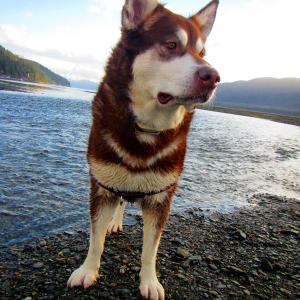 Skadi ~ Viking Goddess of Winter Skiing and Justice : Sheep Creek Alaska ~ http://imdb.me/skadi Thank you for your Kindness and Support.