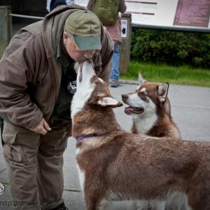 Tourist Love 3 Skadi  Freya and Russell Josh Peterson sharing love with Visitors Downtown Juneau Alaska 3 Please httpExploreJuneaucom  Enjoy!