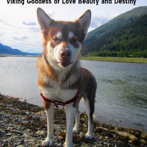 FREYA  Viking Goddess of Love Beauty and Destiny