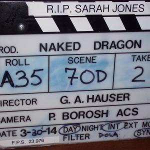 Naked Dragon interracial gay romance coming soon