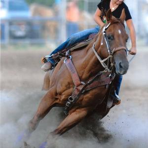 3rd in year end standings in Texas Youth Rodeo Association in Barrel Racing. 2012. Exceptional horsewoman and animal handler.