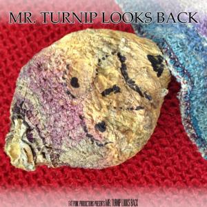 Poster for Mr Turnip Looks Back written directed and performed by Robert David Duncan