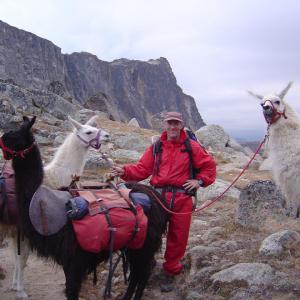 Randall in the Pasayten wilderness with llama friends