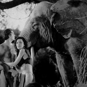 Tarzan The Ape Man 1932 Johnny Weismuller  M OSullivan