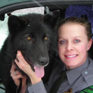 Conservation Officer Kellie Nightlinger with a wolf-dog hybrid
